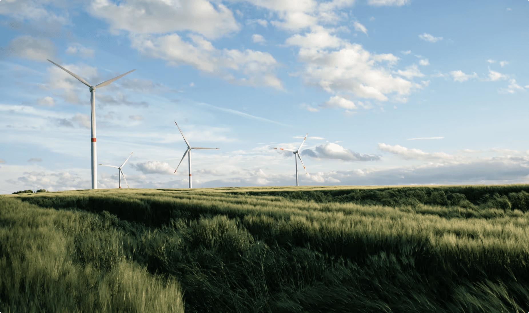 Sustainability background